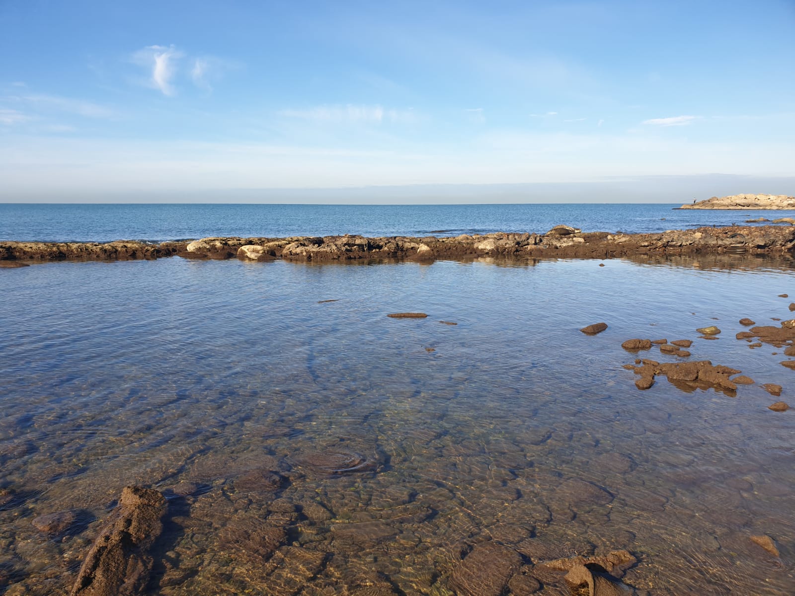 WhatsApp Image 2020-01-27 at 9.05.17 AM (2).jpeg.jpeg